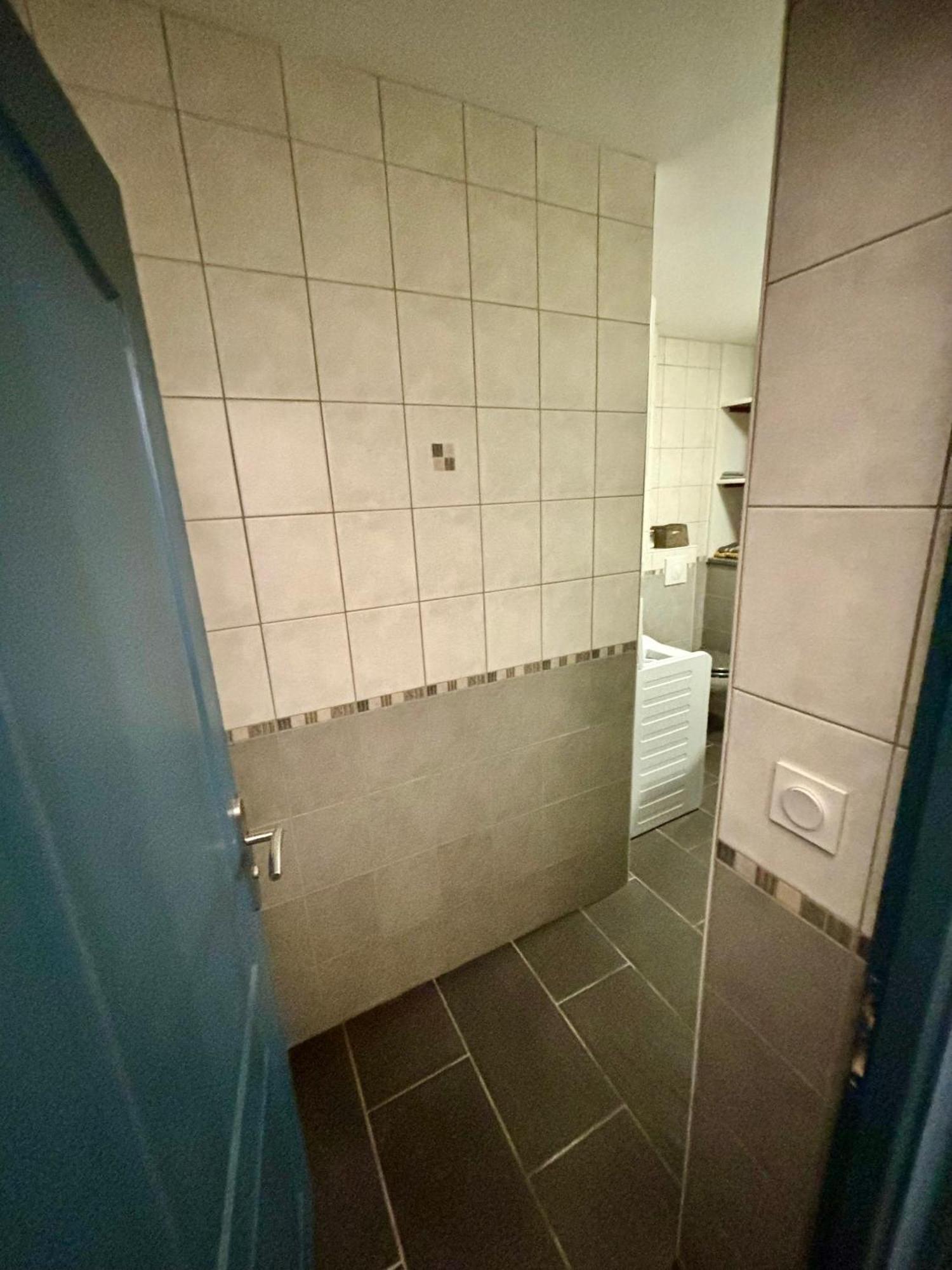Studio - Baignoire - Pret De Vtt - Lave Linge Le Puy-en-Velay المظهر الخارجي الصورة
